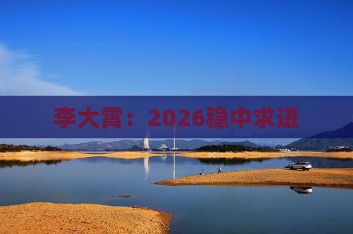 李大霄：2026稳中求进