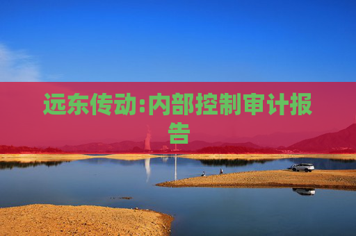 远东传动:内部控制审计报告