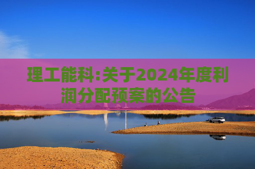 理工能科:关于2024年度利润分配预案的公告