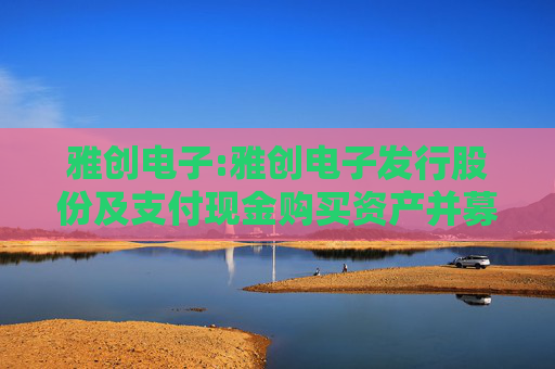 雅创电子:雅创电子发行股份及支付现金购买资产并募集配套资金报告书（草案）摘要