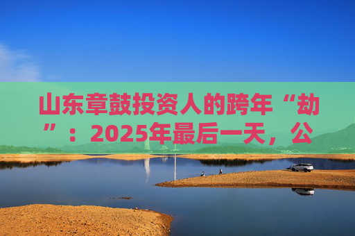 山东章鼓投资人的跨年“劫”：2025年最后一天，公司披露被中国证监会立案调查