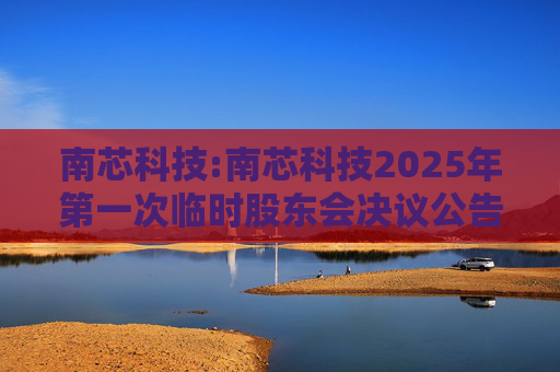 南芯科技:南芯科技2025年第一次临时股东会决议公告  第1张