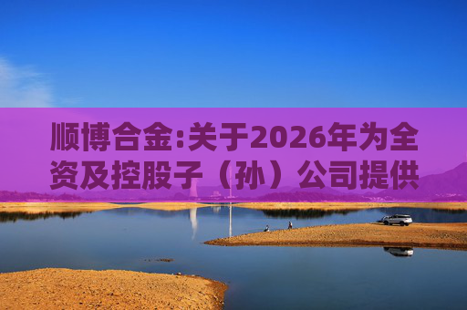 顺博合金:关于2026年为全资及控股子（孙）公司提供担保的公告