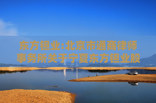 东方钽业:北京市通商律师事务所关于宁夏东方钽业股份有限公司2025年度向特定对象发行股票的补充法律意见书（一）（修订稿）