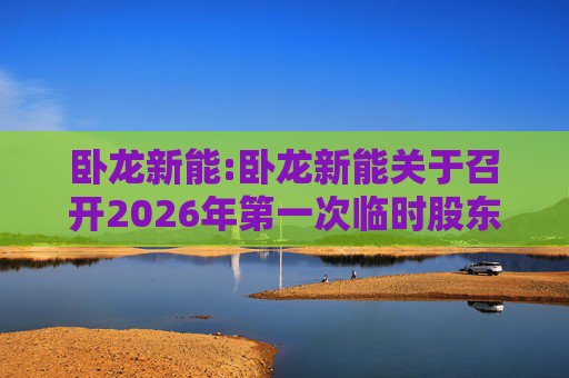 卧龙新能:卧龙新能关于召开2026年第一次临时股东会的通知