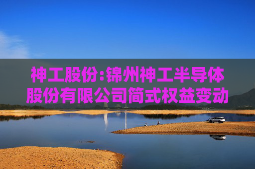 神工股份:锦州神工半导体股份有限公司简式权益变动报告书（更多亮照明）