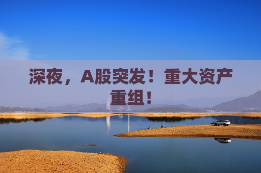 深夜，A股突发！重大资产重组！