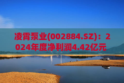凌霄泵业(002884.SZ):2024年度净利润4.42亿元 拟10派10元