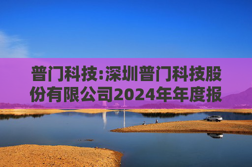 普门科技:深圳普门科技股份有限公司2024年年度报告