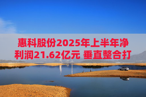 惠科股份2025年上半年净利润21.62亿元 垂直整合打造显示产业全链条优势