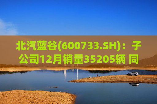 北汽蓝谷(600733.SH)：子公司12月销量35205辆 同比增长114.56%  第1张