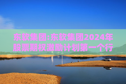 东软集团:东软集团2024年股票期权激励计划第一个行权期2025年第四季度自主行权结果暨股份变动的公告