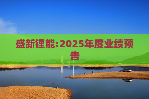 盛新锂能:2025年度业绩预告