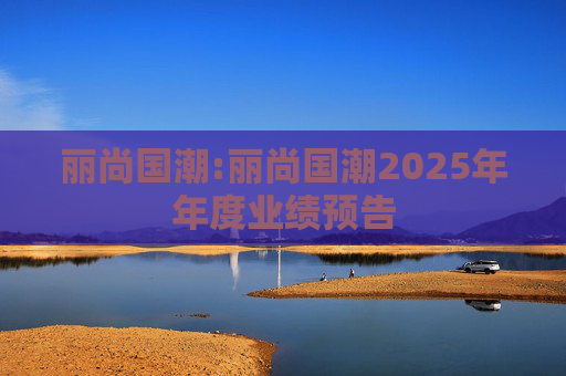 丽尚国潮:丽尚国潮2025年年度业绩预告