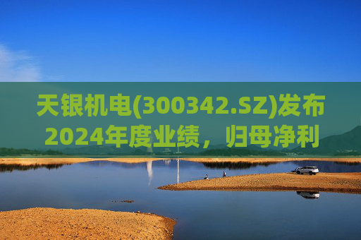 天银机电(300342.SZ)发布2024年度业绩，归母净利润9040.74万元，同比增长175.80%