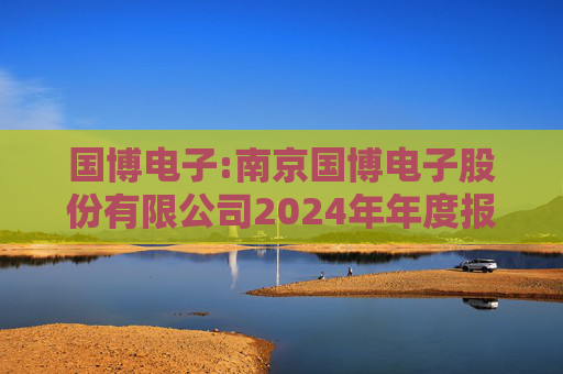 国博电子:南京国博电子股份有限公司2024年年度报告