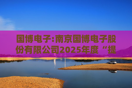 国博电子:南京国博电子股份有限公司2025年度“提质增效重回报”行动方案
