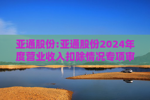 亚通股份:亚通股份2024年度营业收入扣除情况专项审核意见