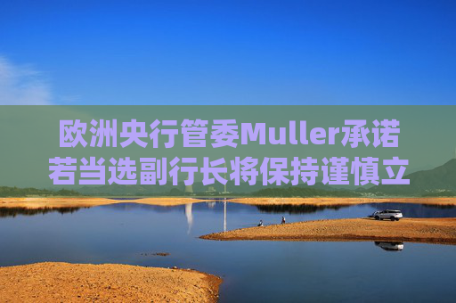 欧洲央行管委Muller承诺若当选副行长将保持谨慎立场