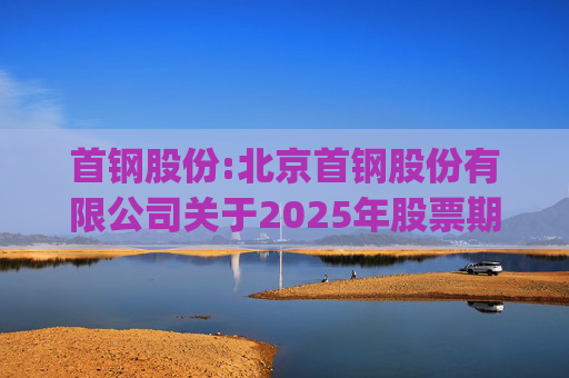首钢股份:北京首钢股份有限公司关于2025年股票期权与限制性股票激励计划(草案修订稿)及相关文件修订情况说明的公告  第1张
