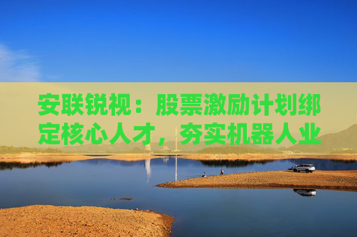 安联锐视：股票激励计划绑定核心人才，夯实机器人业务增长动能