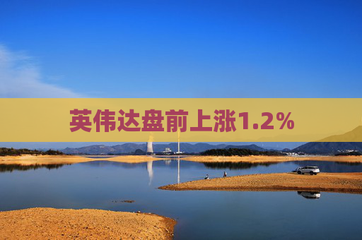 英伟达盘前上涨1.2%