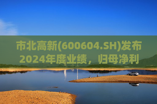 市北高新(600604.SH)发布2024年度业绩，归母净利润3053万元，同比扭亏为盈  第1张