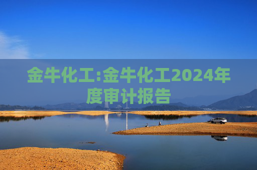 金牛化工:金牛化工2024年度审计报告