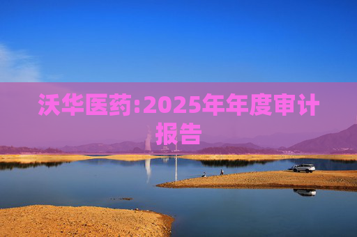 沃华医药:2025年年度审计报告