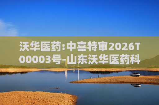 沃华医药:中喜特审2026T00003号-山东沃华医药科技股份有限公司-关联资金占用报告