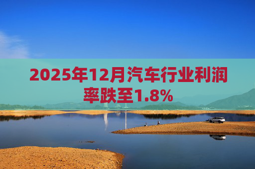 2025年12月汽车行业利润率跌至1.8%