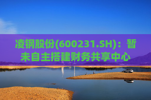凌钢股份(600231.SH)：暂未自主搭建财务共享中心