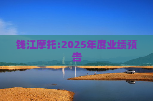 钱江摩托:2025年度业绩预告