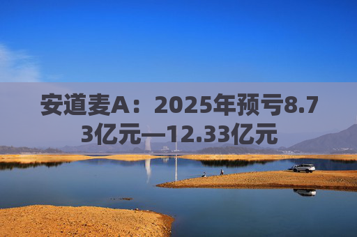 安道麦A：2025年预亏8.73亿元—12.33亿元