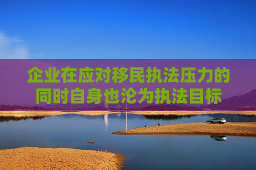 企业在应对移民执法压力的同时自身也沦为执法目标