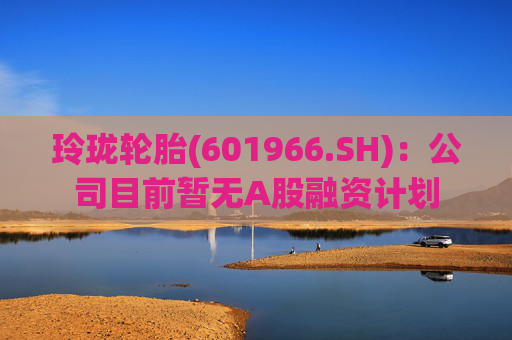 玲珑轮胎(601966.SH)：公司目前暂无A股融资计划