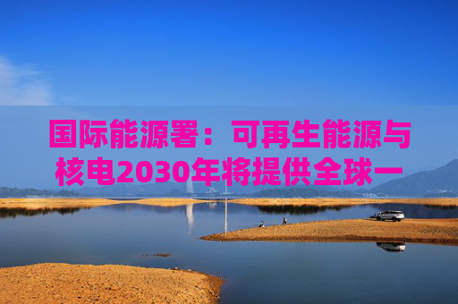 国际能源署：可再生能源与核电2030年将提供全球一半电力