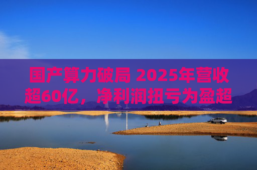 国产算力破局 2025年营收超60亿，净利润扭亏为盈超18亿