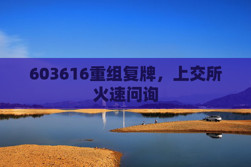 603616重组复牌，上交所火速问询