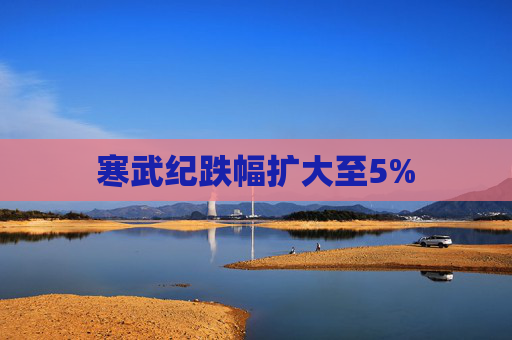 寒武纪跌幅扩大至5%