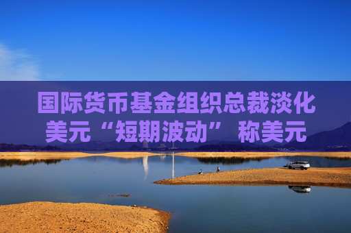 国际货币基金组织总裁淡化美元“短期波动” 称美元角色短期内不会改变