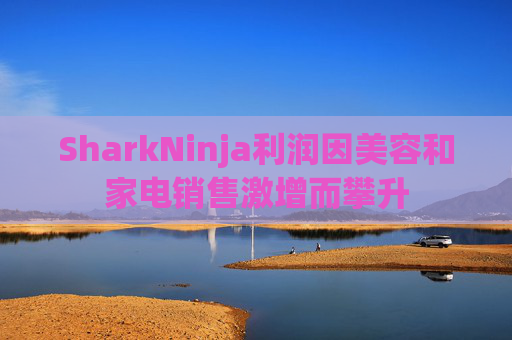 SharkNinja利润因美容和家电销售激增而攀升
