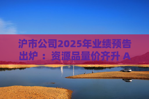 沪市公司2025年业绩预告出炉 ：资源品量价齐升 AI链景气延续