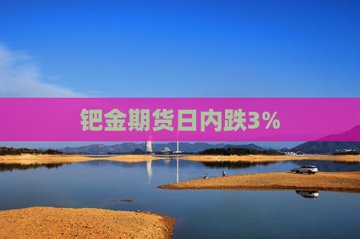 钯金期货日内跌3%