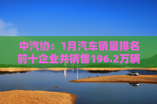 中汽协：1月汽车销量排名前十企业共销售196.2万辆