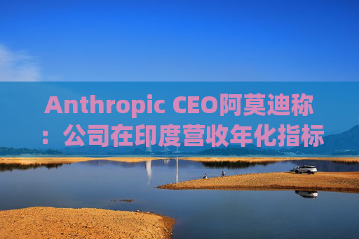 Anthropic CEO阿莫迪称：公司在印度营收年化指标4个月内翻倍