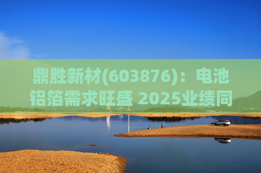 鼎胜新材(603876)：电池铝箔需求旺盛 2025业绩同比高增