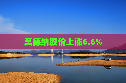 莫德纳股价上涨6.6%