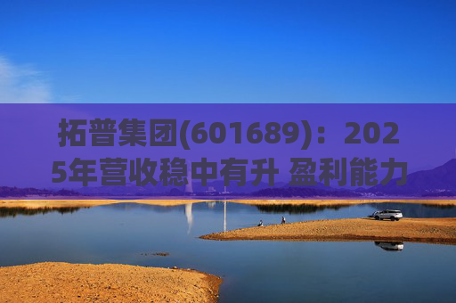 拓普集团(601689)：2025年营收稳中有升 盈利能力短期承压  第1张