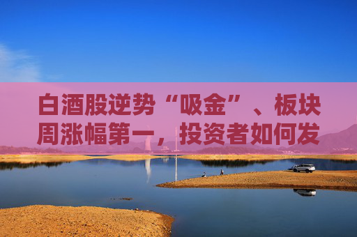 白酒股逆势“吸金”、板块周涨幅第一,投资者如何发掘舍得酒业的“质价比”